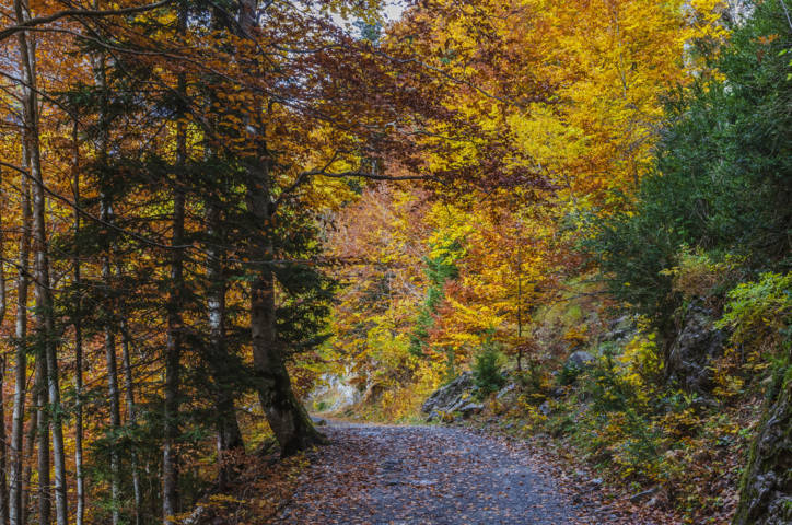 Huesca - valle de Bujaruelo 39.jpg